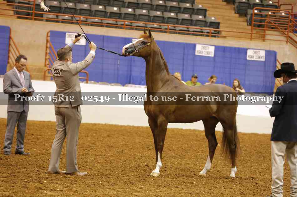 Proof 15R12_02549