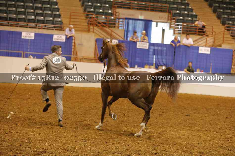 Proof 15R12_02550