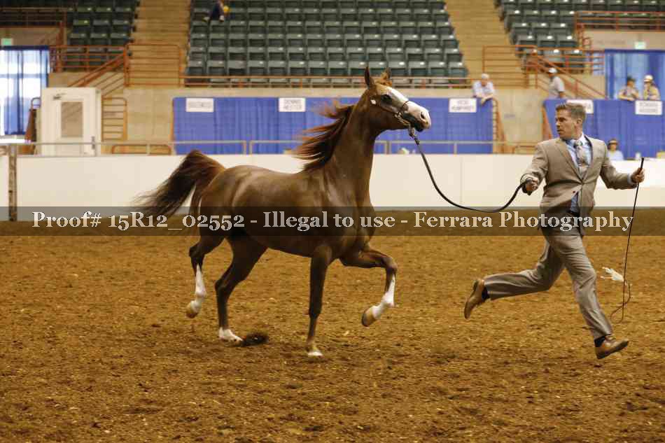 Proof 15R12_02552