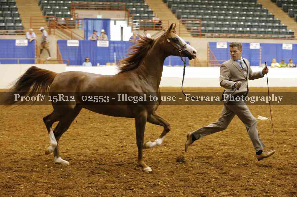 Proof 15R12_02553
