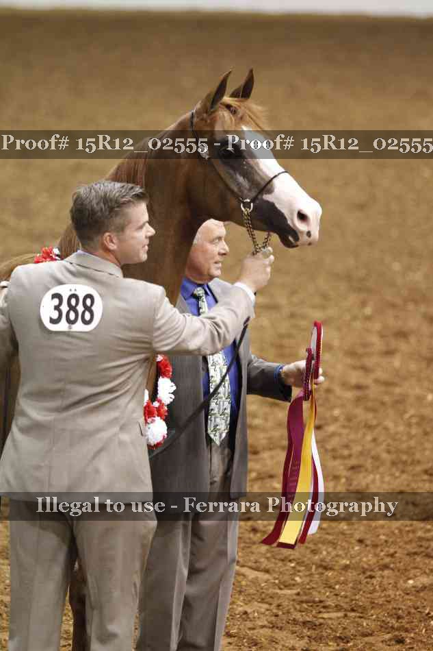 Proof 15R12_02555
