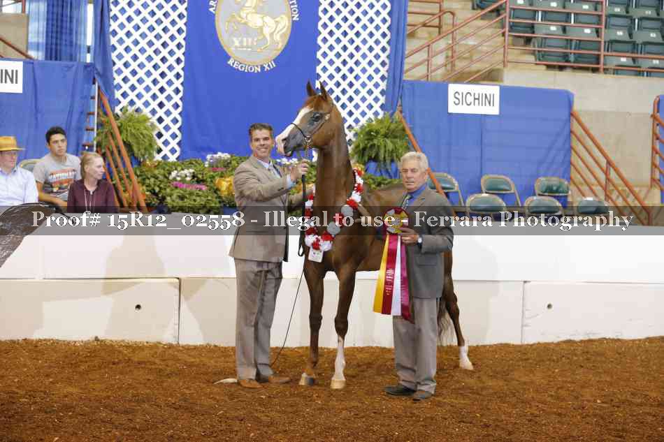 Proof 15R12_02558
