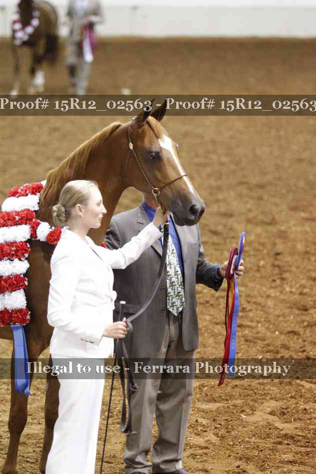 Proof 15R12_02563