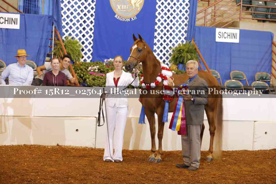 Proof 15R12_02564