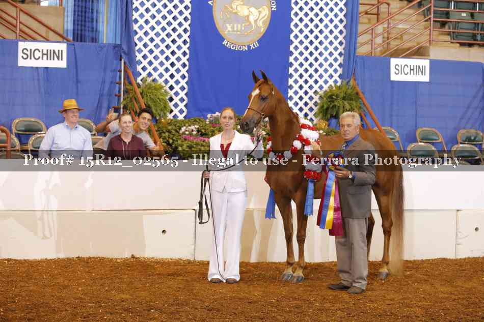 Proof 15R12_02565