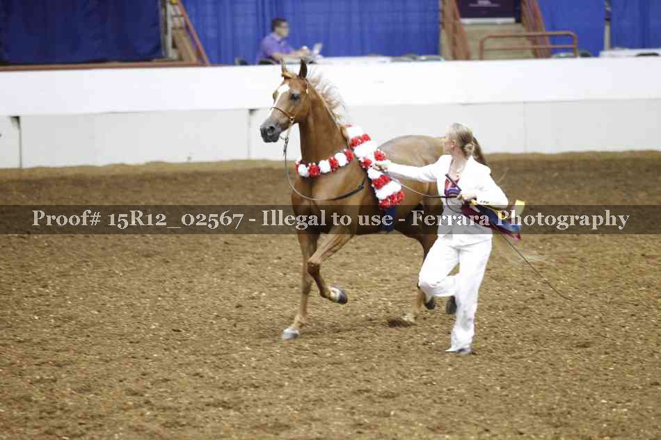 Proof 15R12_02567