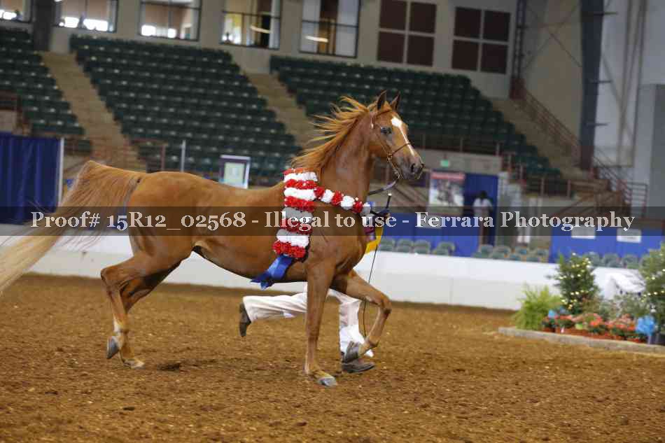 Proof 15R12_02568