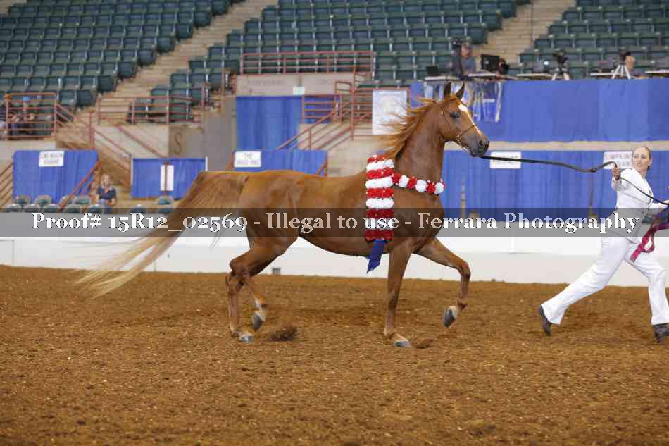 Proof 15R12_02569
