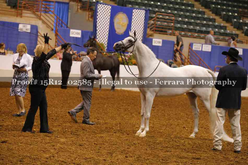 Proof 15R12_02585