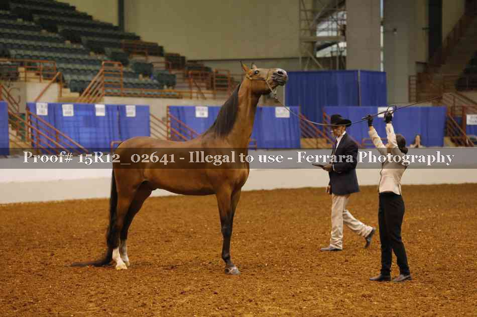 Proof 15R12_02641