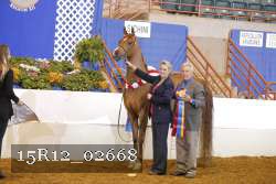 15R12_02668 proof