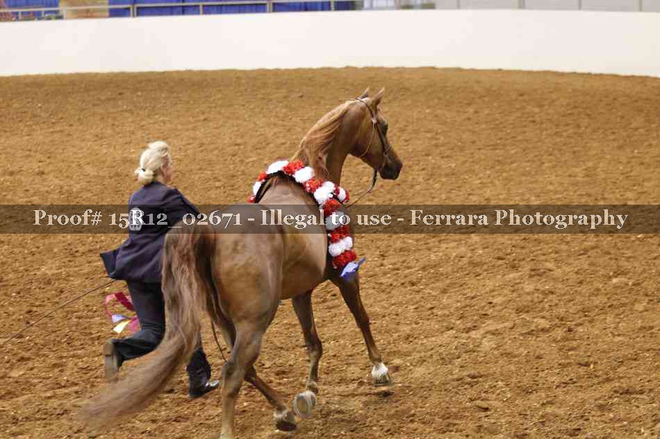 Proof 15R12_02671