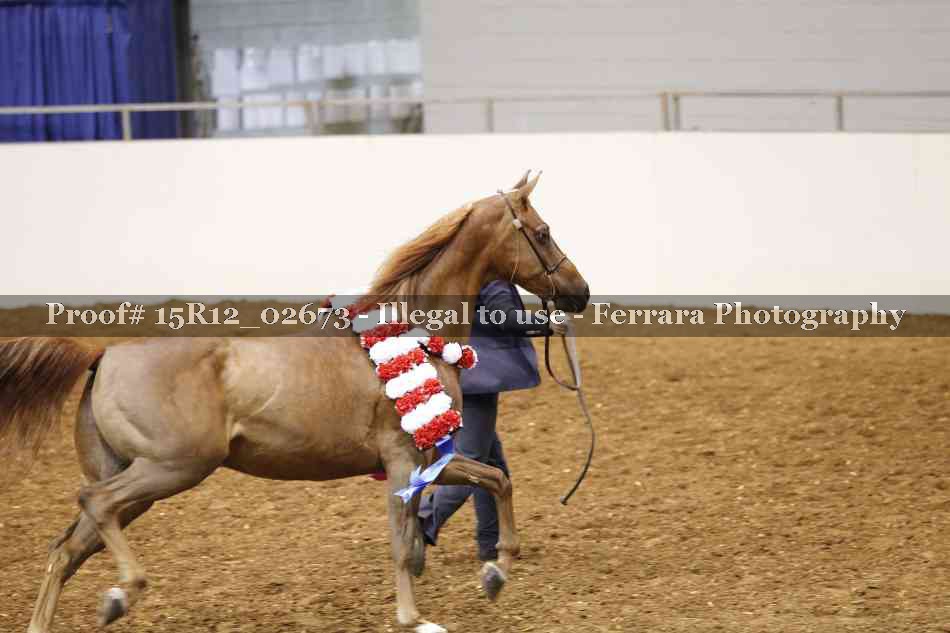 Proof 15R12_02673