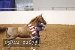 15R12_02673 proof