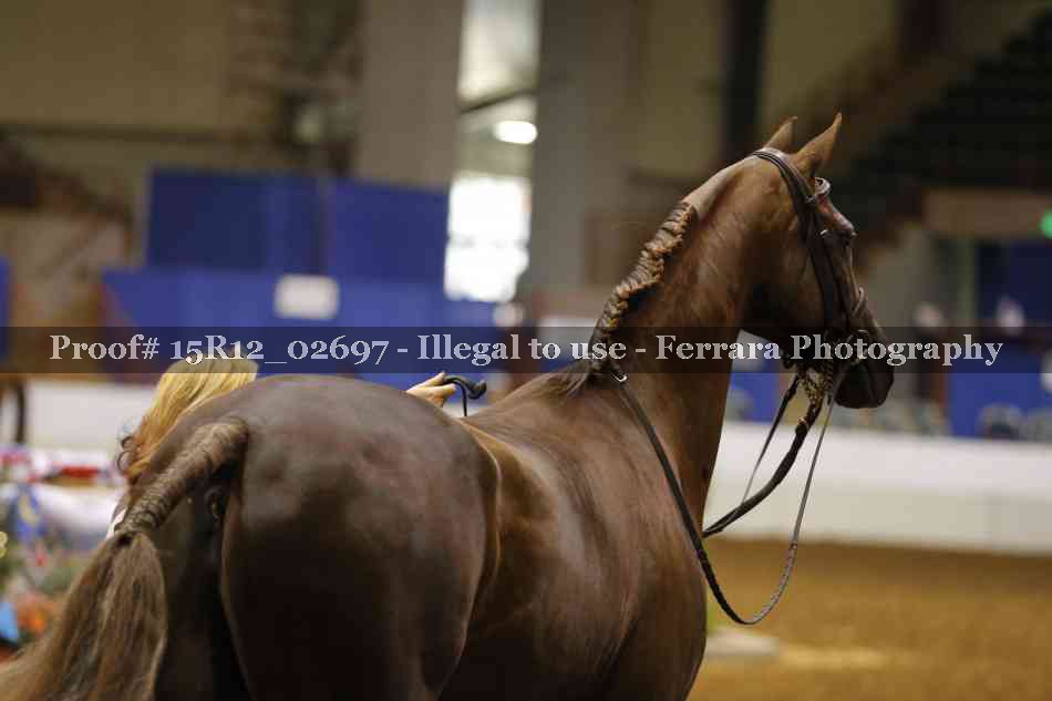 Proof 15R12_02697