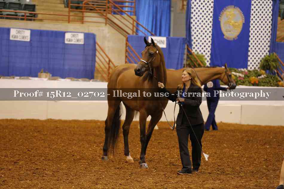 Proof 15R12_02702