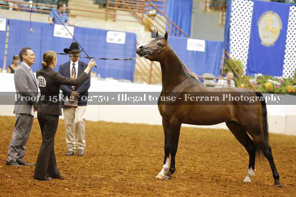 Proof 15R12_02759