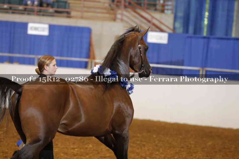 Proof 15R12_02786