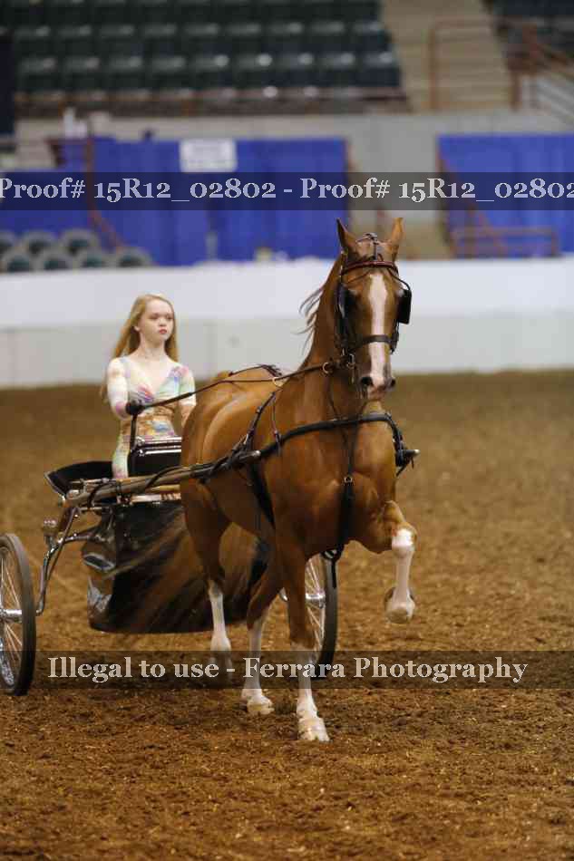 Proof 15R12_02802