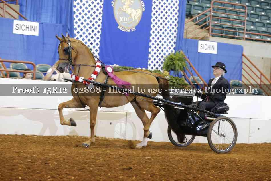 Proof 15R12_02808