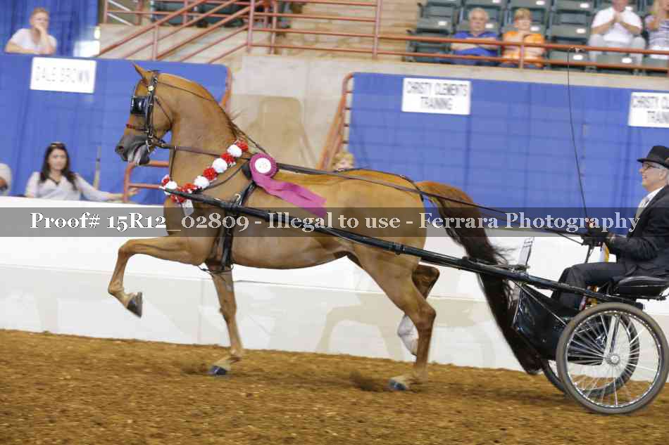 Proof 15R12_02809