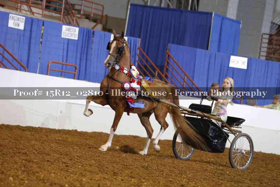 Proof 15R12_02810
