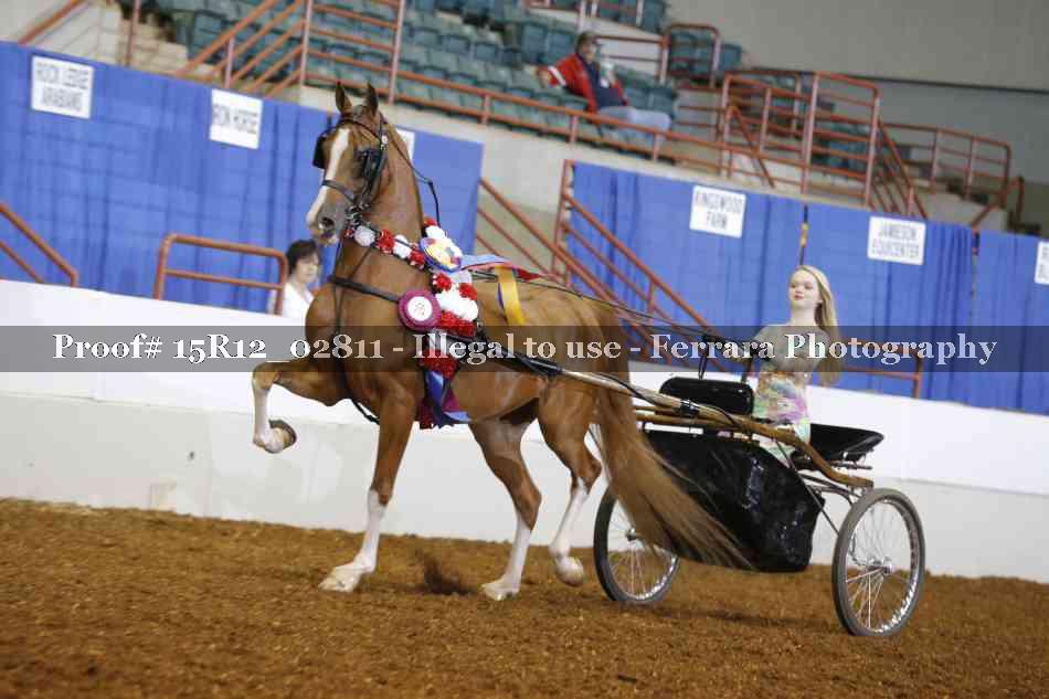 Proof 15R12_02811