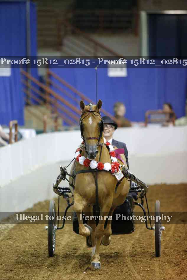 Proof 15R12_02815