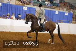 15R12_02835 proof
