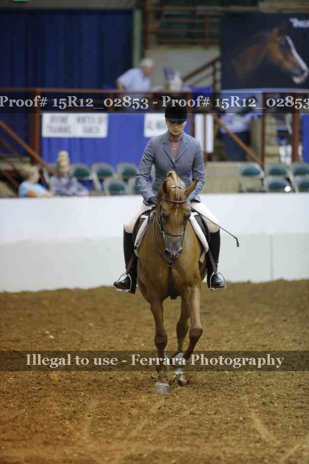 Proof 15R12_02853