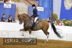 15R12_02873 proof