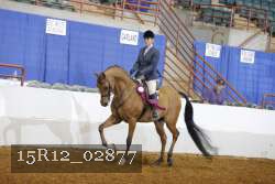15R12_02877 proof