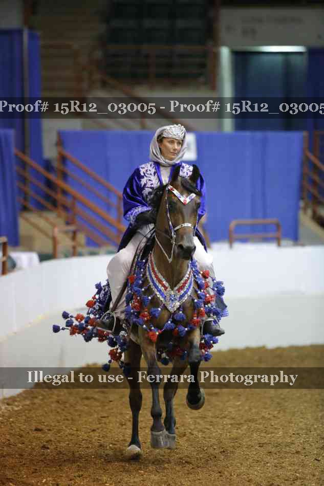 Proof 15R12_03005
