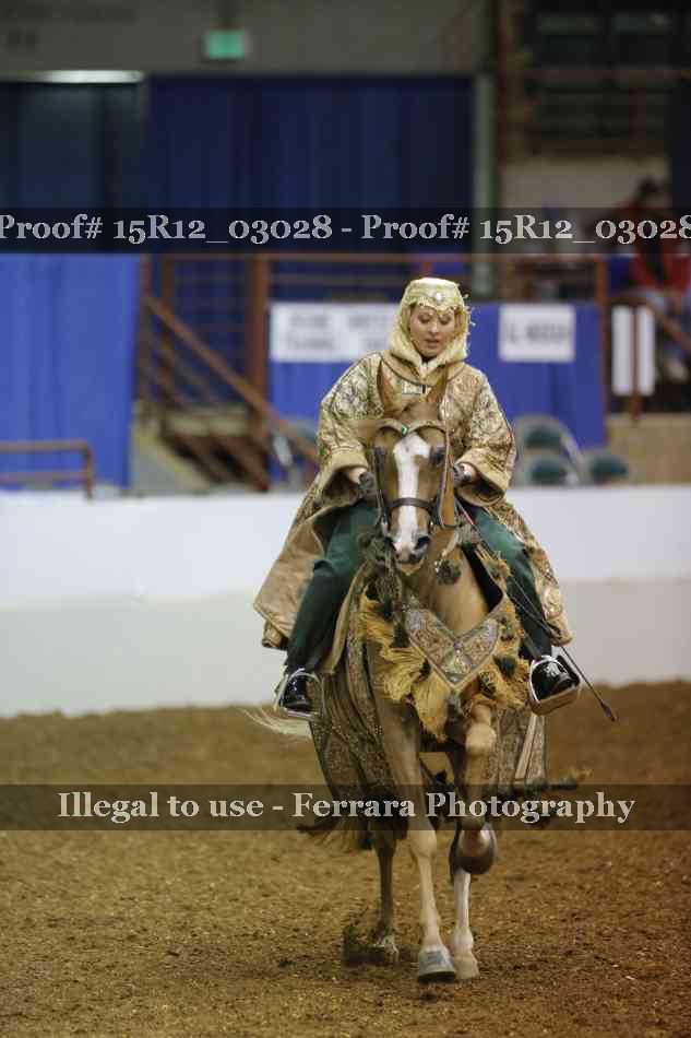 Proof 15R12_03028