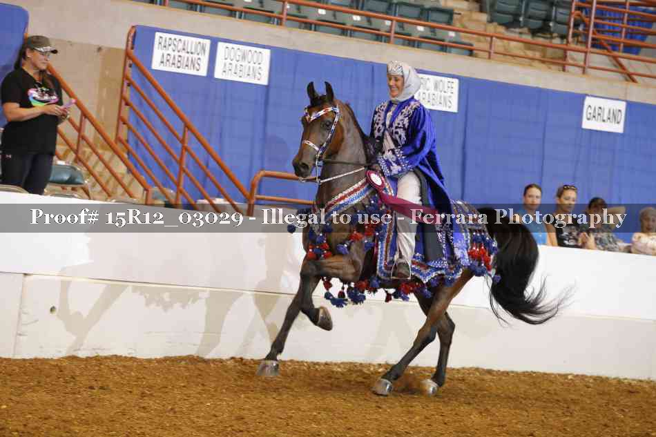 Proof 15R12_03029