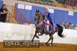 15R12_03029 proof