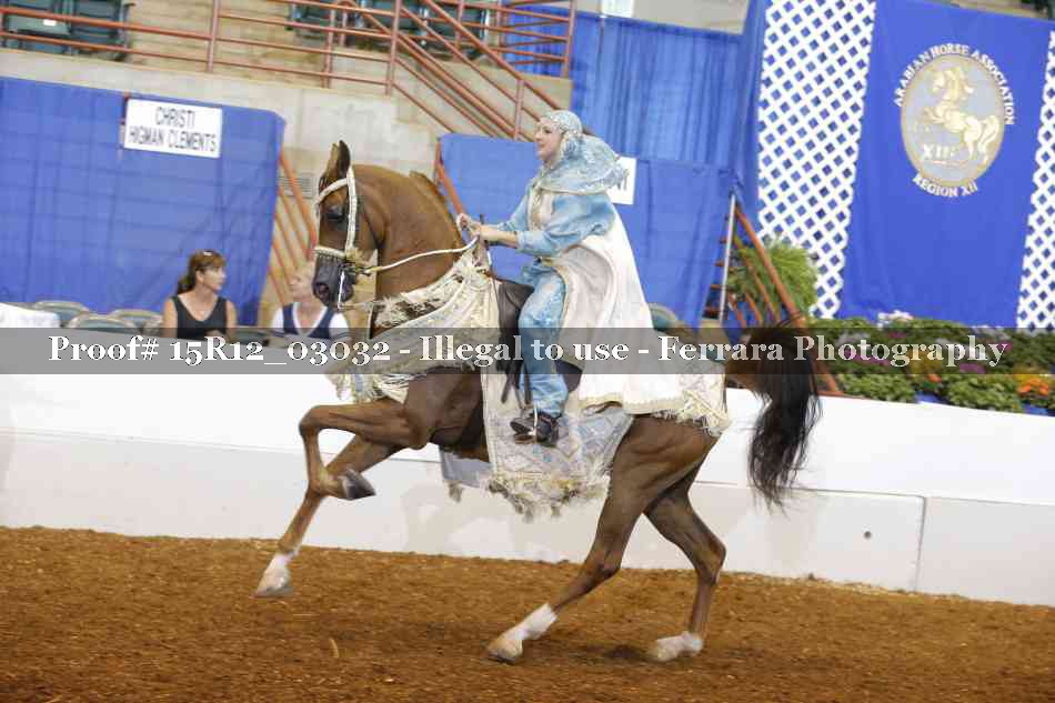 Proof 15R12_03032