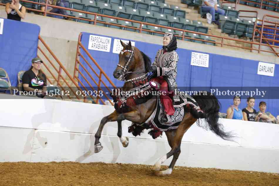 Proof 15R12_03033