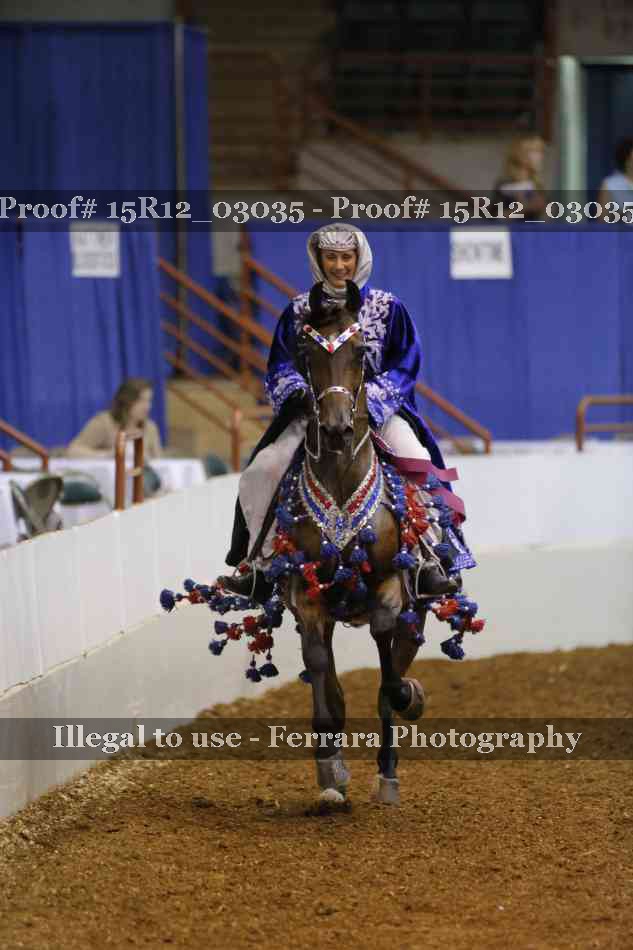 Proof 15R12_03035