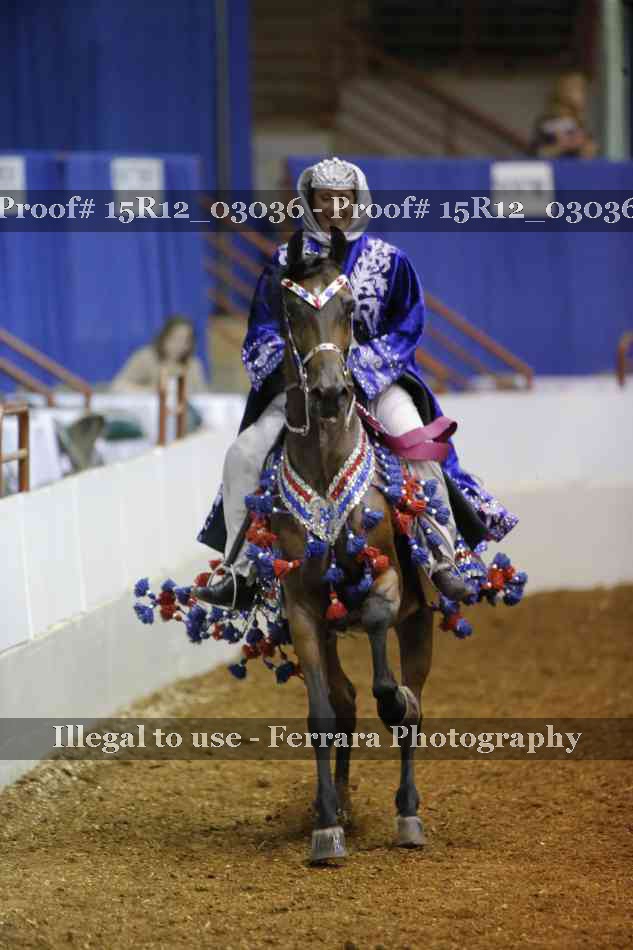 Proof 15R12_03036