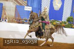 15R12_03038 proof