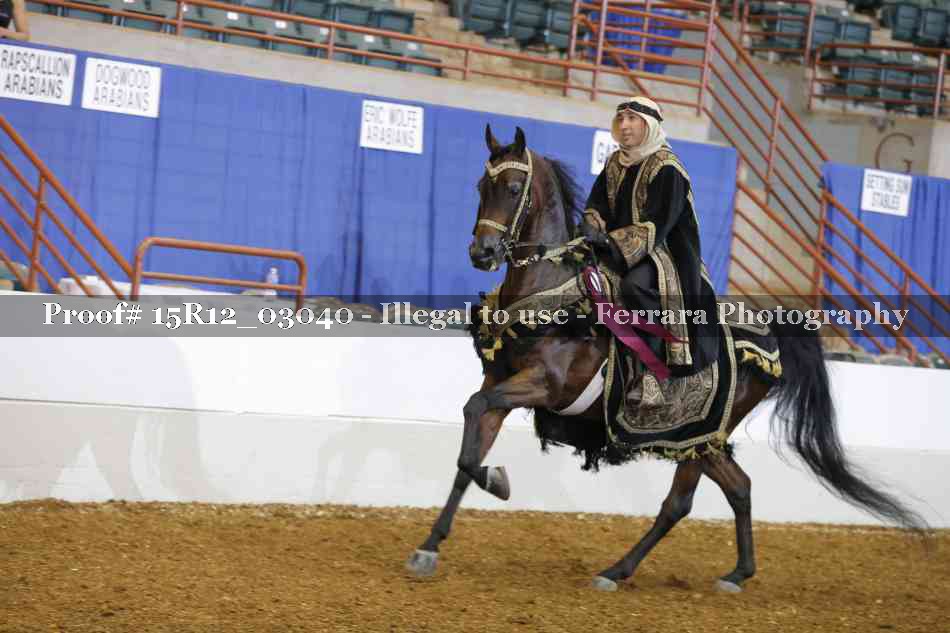 Proof 15R12_03040