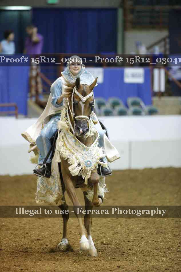 Proof 15R12_03041