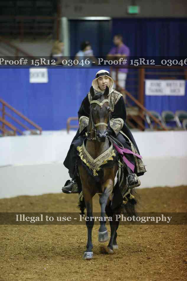 Proof 15R12_03046