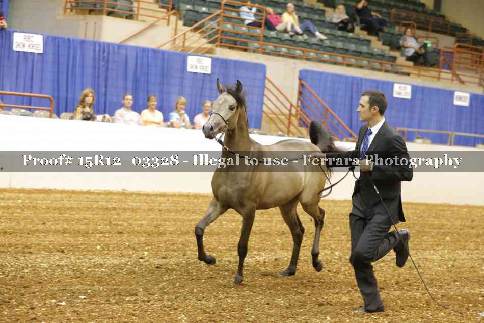 Proof 15R12_03328