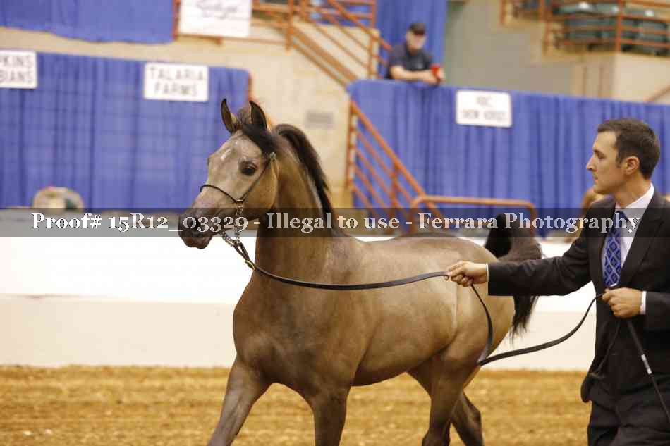 Proof 15R12_03329