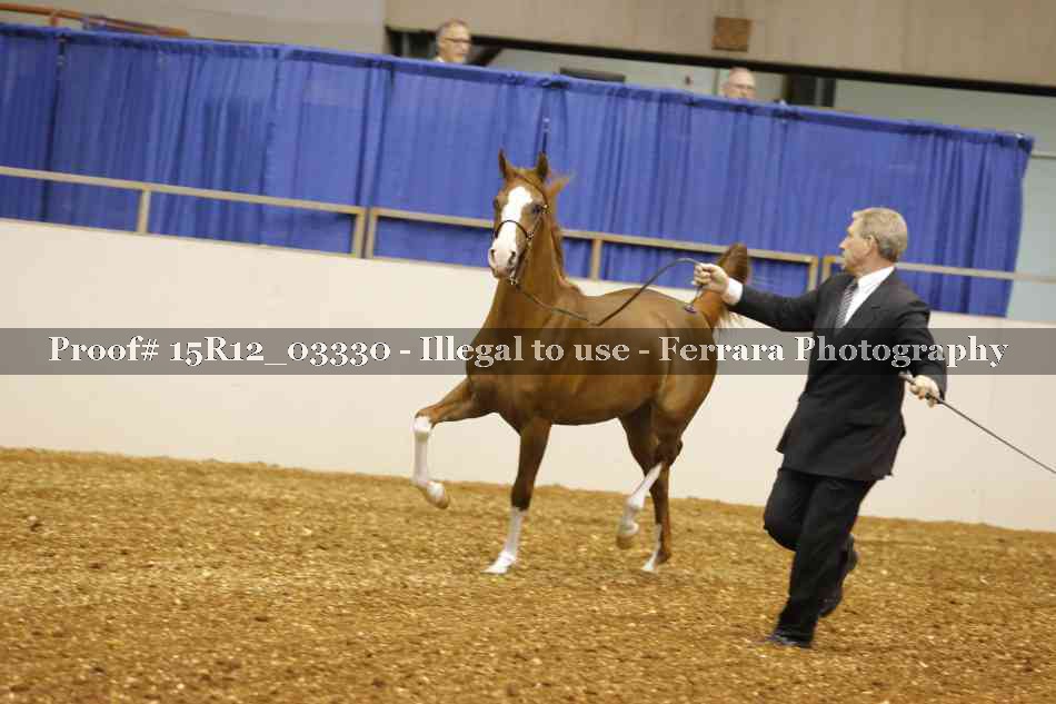 Proof 15R12_03330