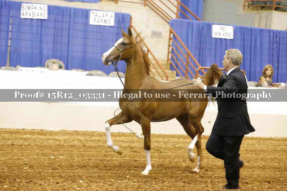 Proof 15R12_03331