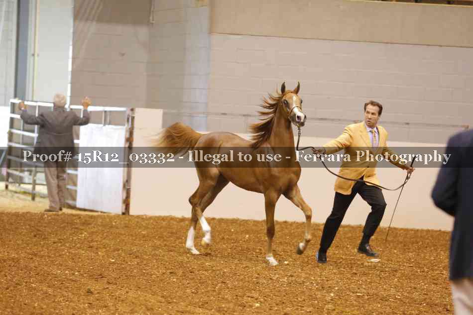 Proof 15R12_03332