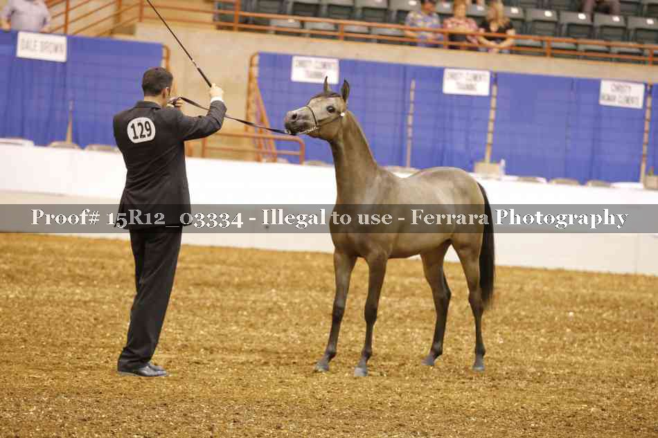 Proof 15R12_03334